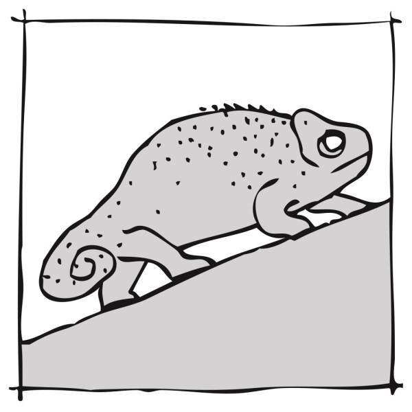 illustrations-political-space-17